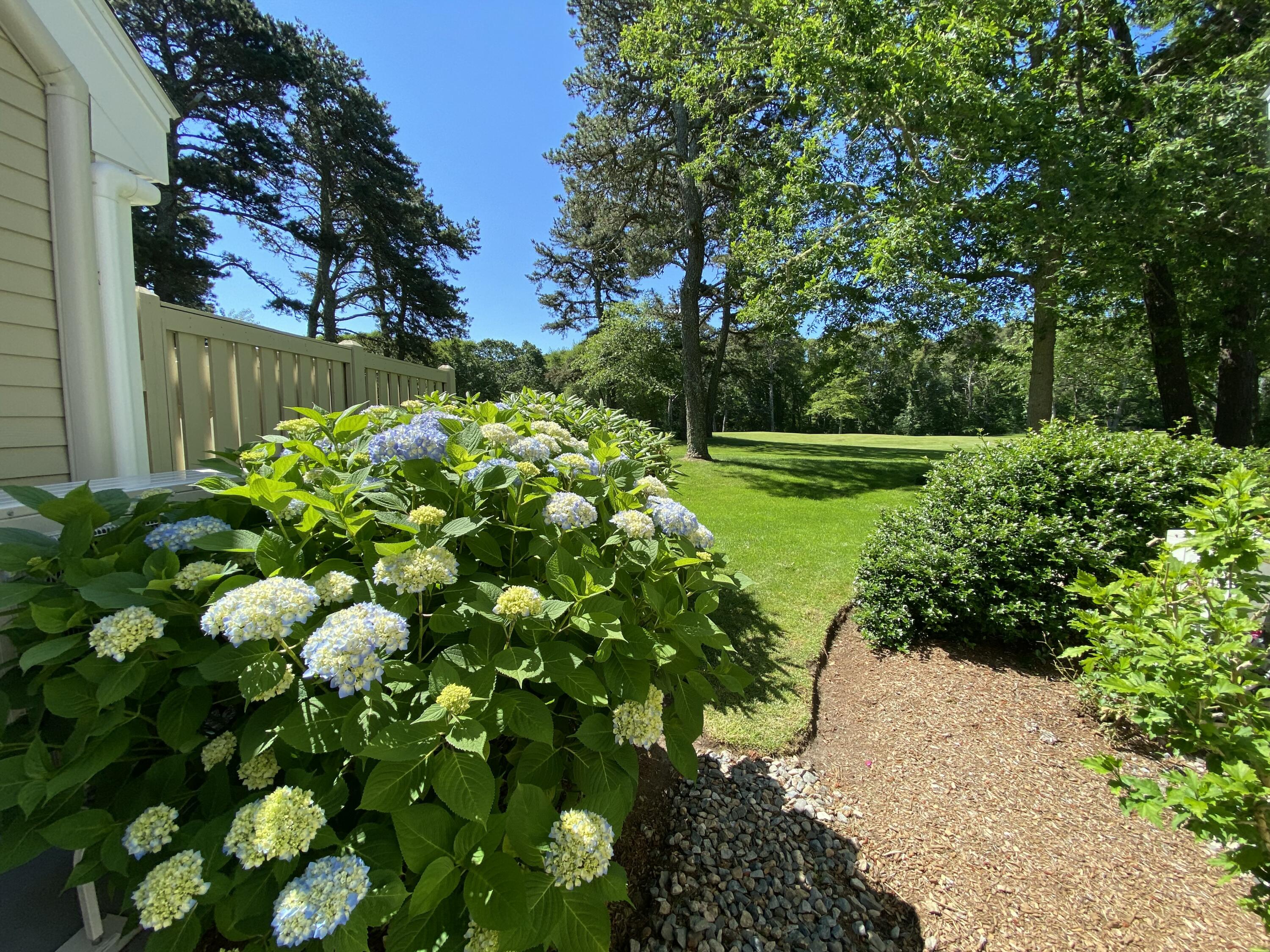 210 Billington Lane Brewster MA 02631