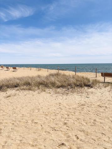 19 Ocean Drive Dennis MA 02639