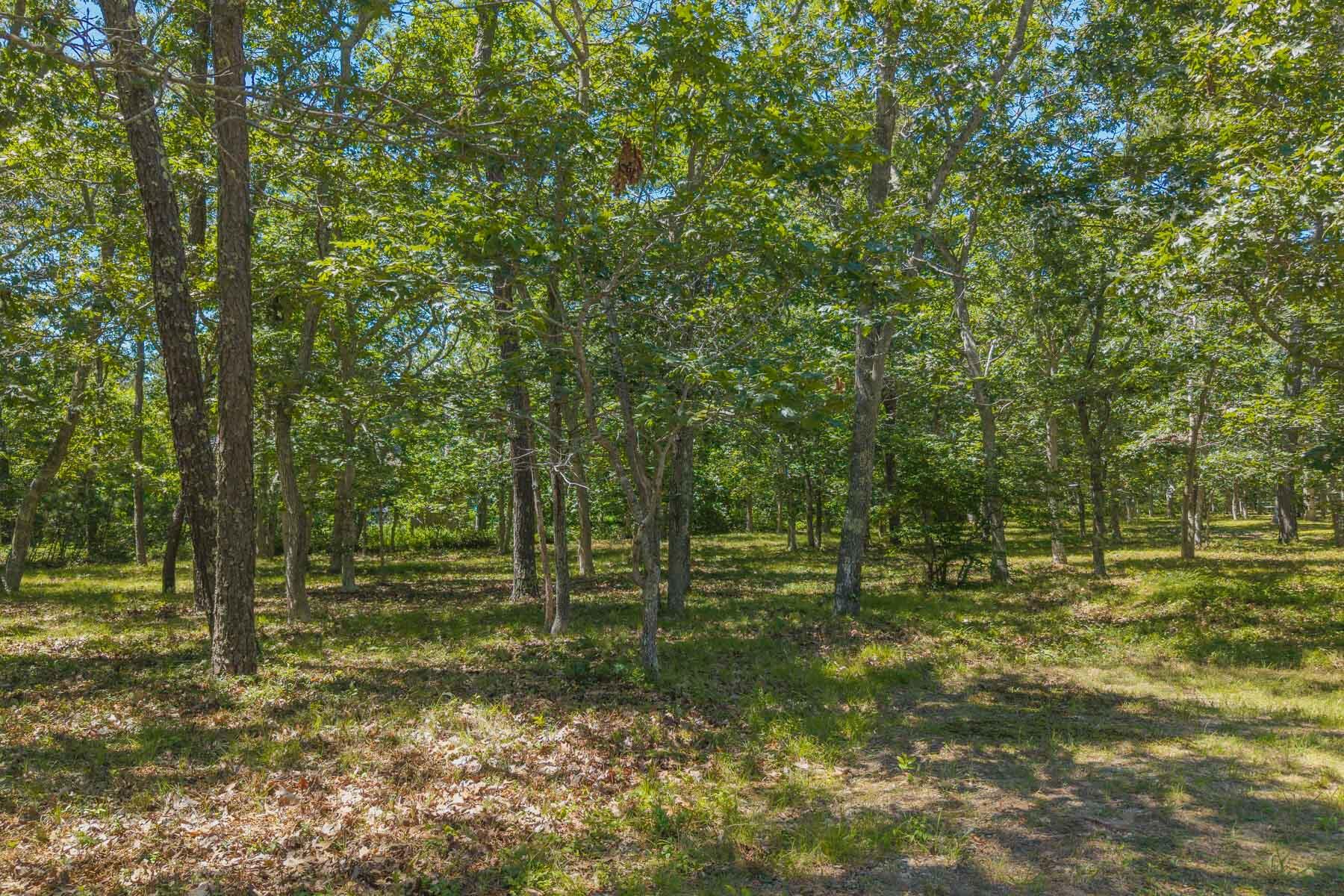 4 Wilsons Lane Edgartown MA 02539