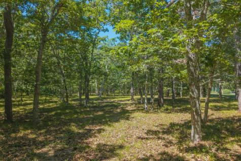 4 Wilsons Lane Edgartown MA 02539