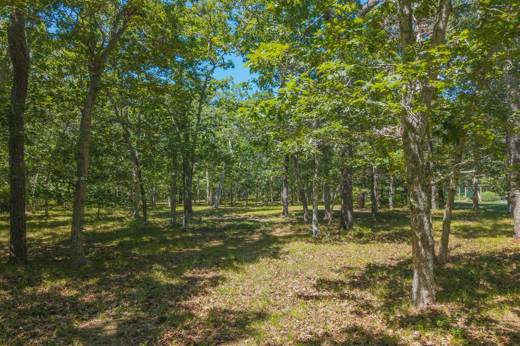 4 Wilsons Lane Edgartown MA 02539