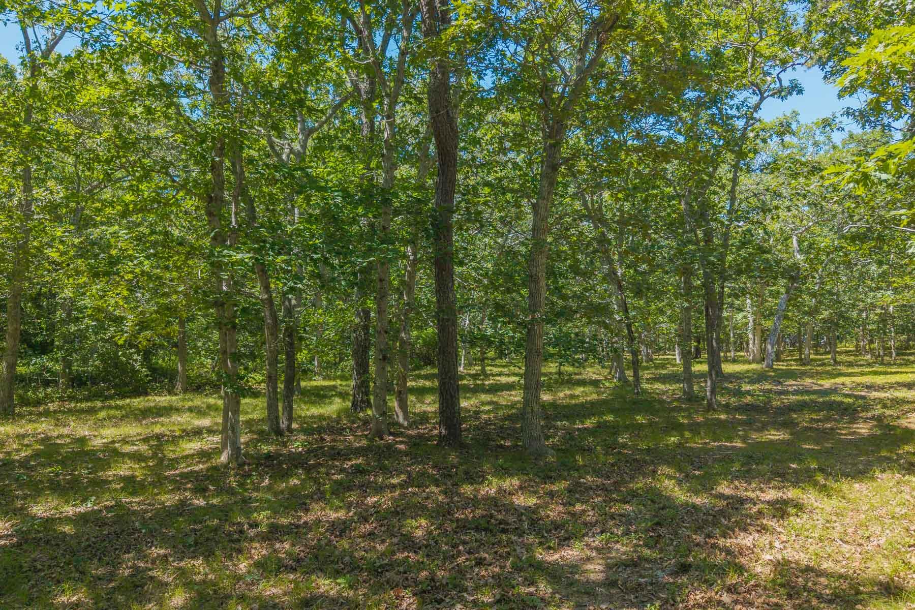 4 Wilsons Lane Edgartown MA 02539