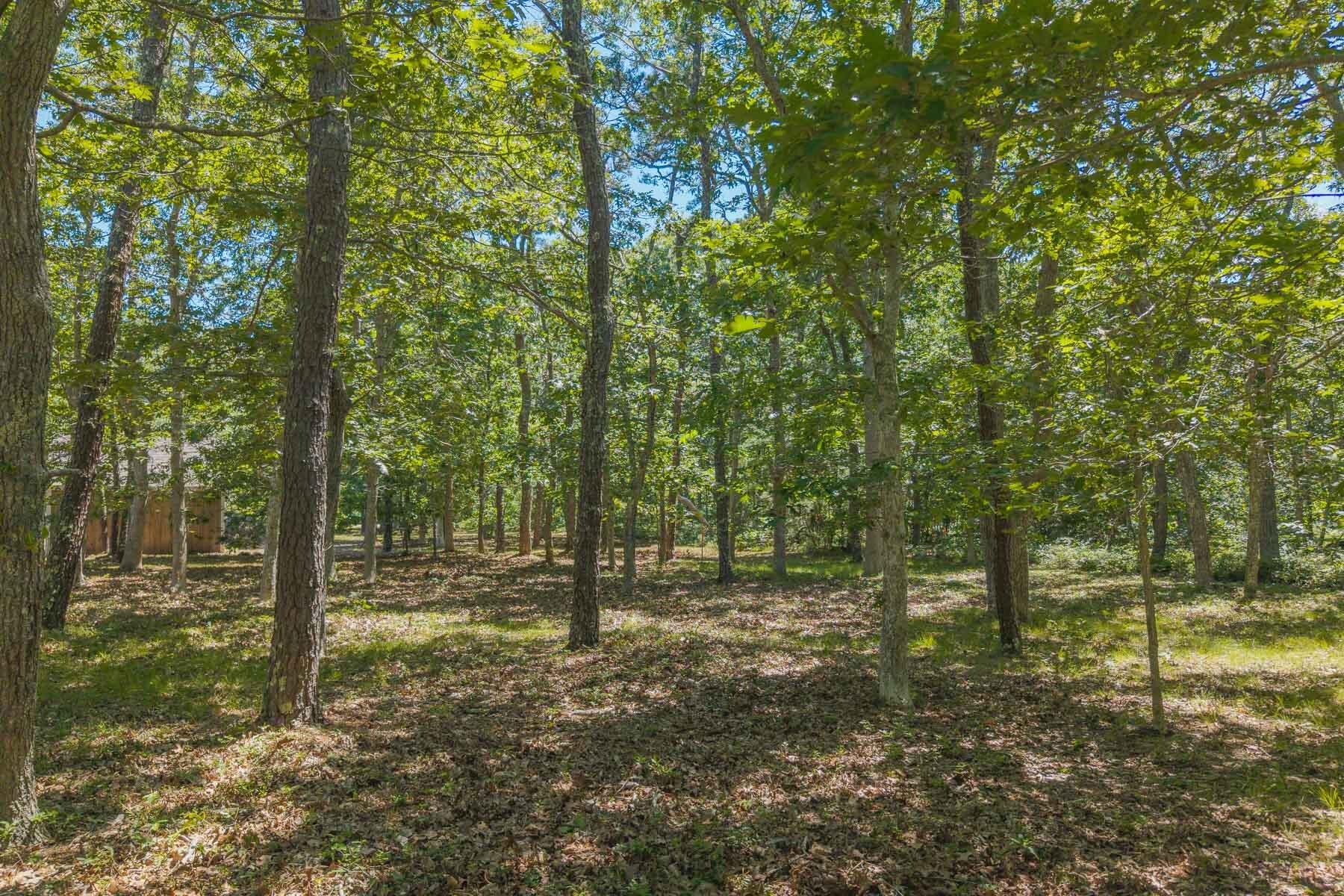 4 Wilsons Lane Edgartown MA 02539