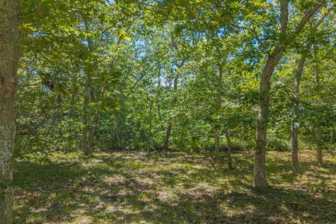 4 Wilsons Lane Edgartown MA 02539