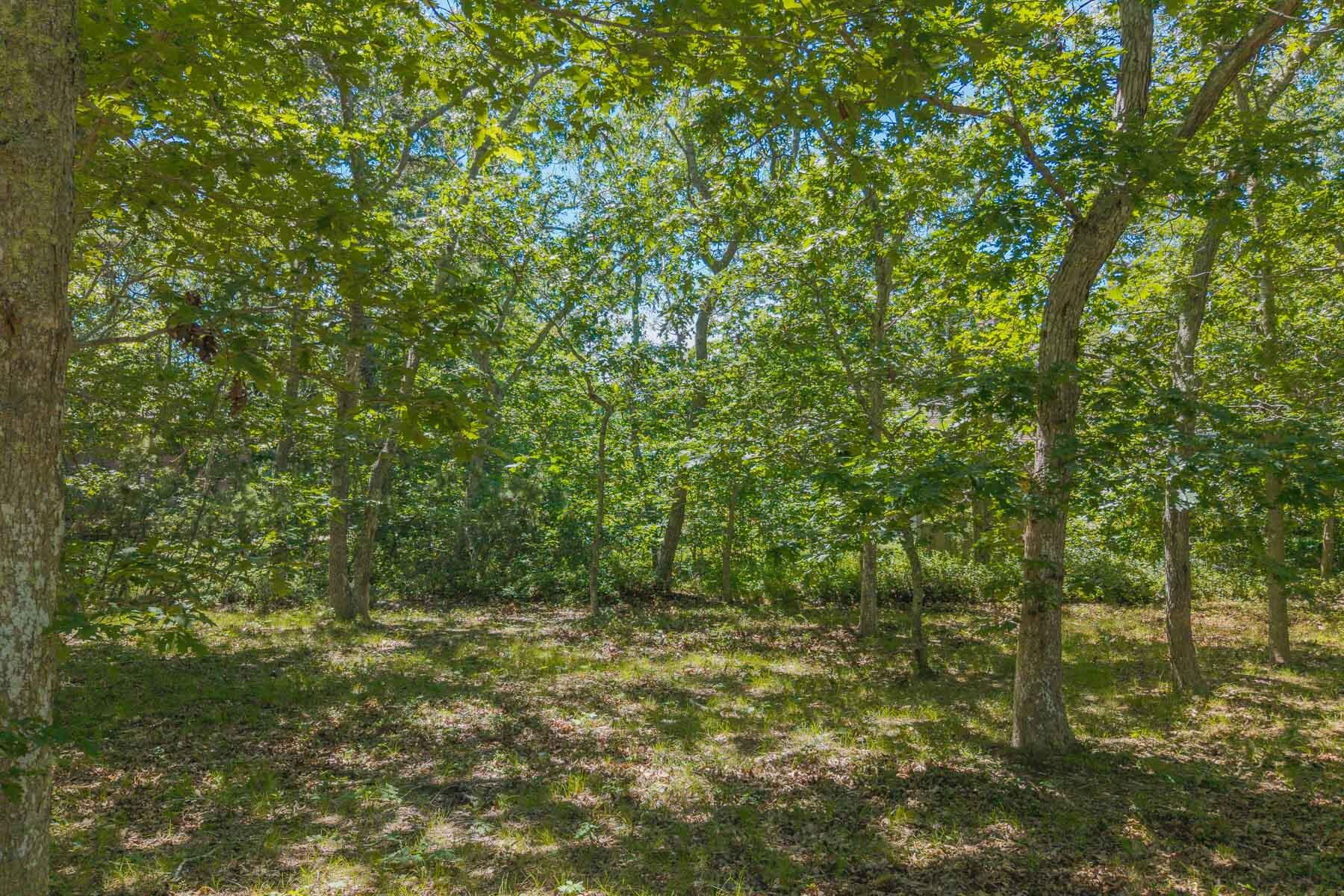 4 Wilsons Lane Edgartown MA 02539