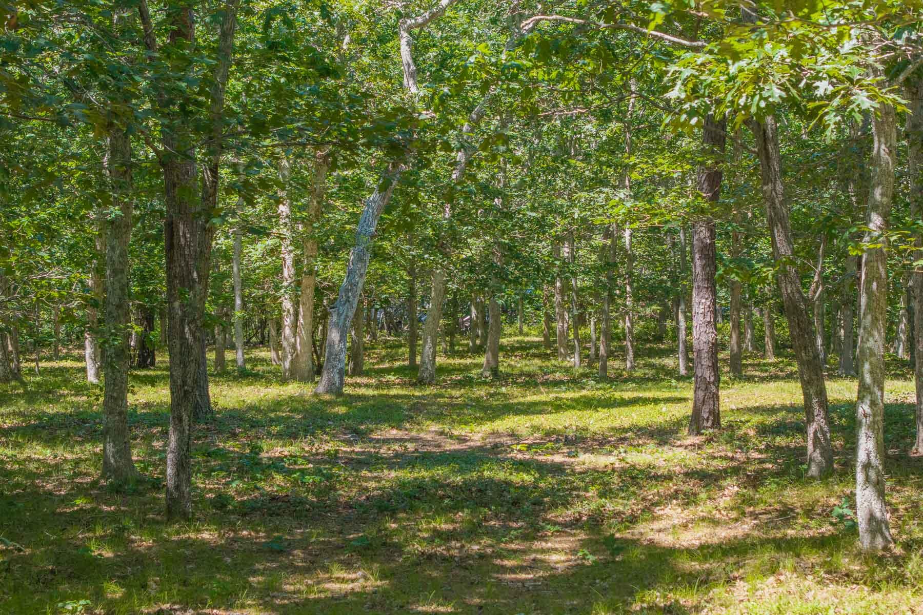 4 Wilsons Lane Edgartown MA 02539