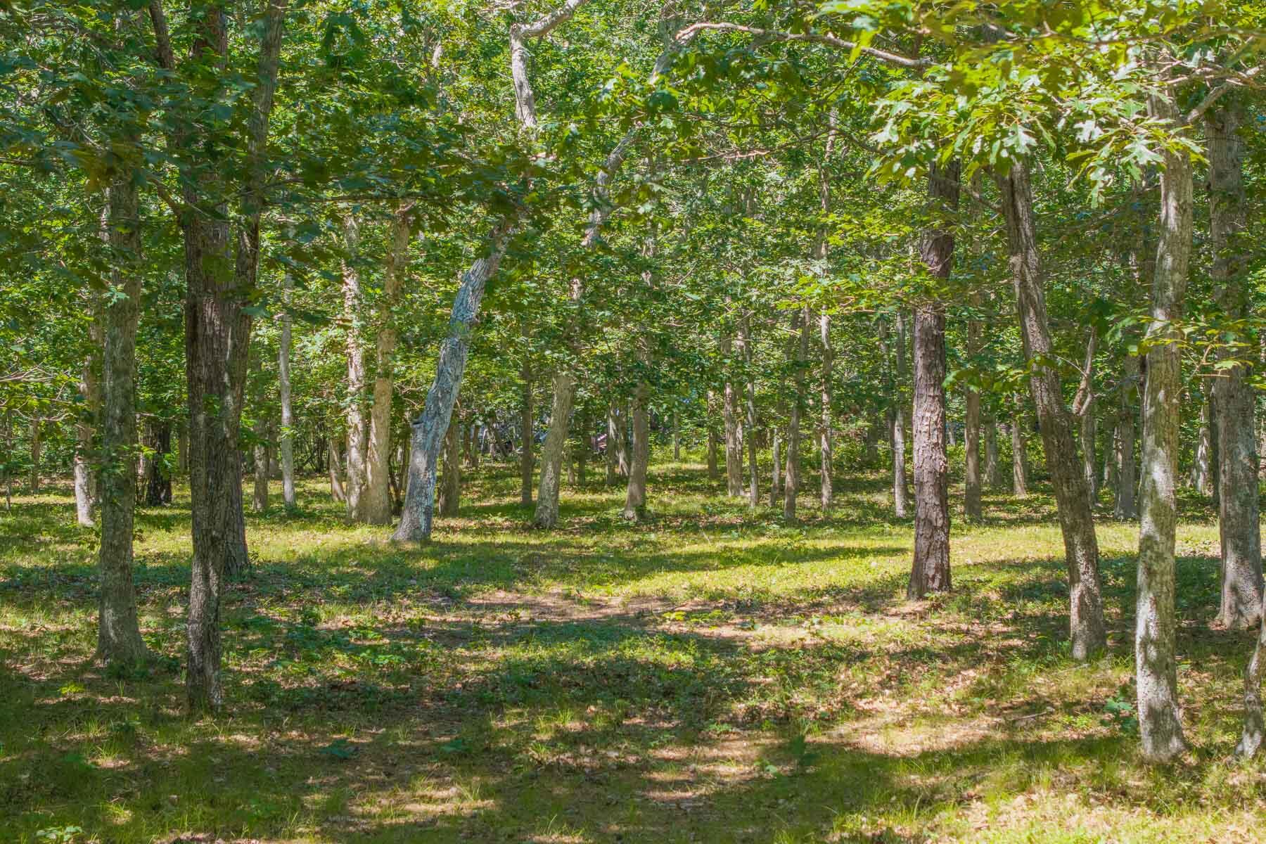 4 Wilsons Lane Edgartown MA 02539