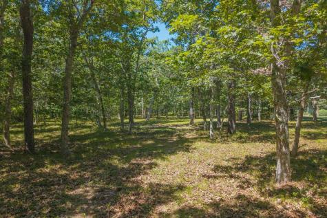 4 Wilsons Lane Edgartown MA 02539