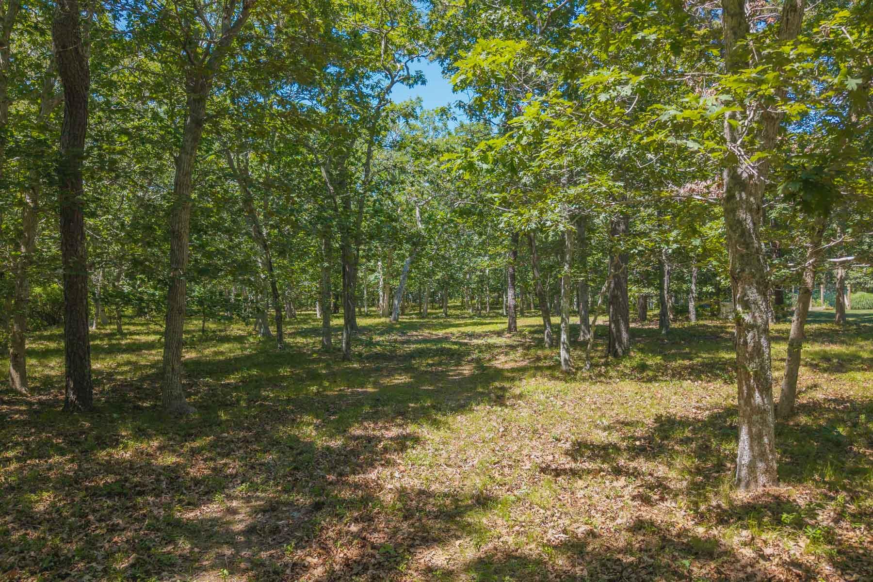 4 Wilsons Lane Edgartown MA 02539