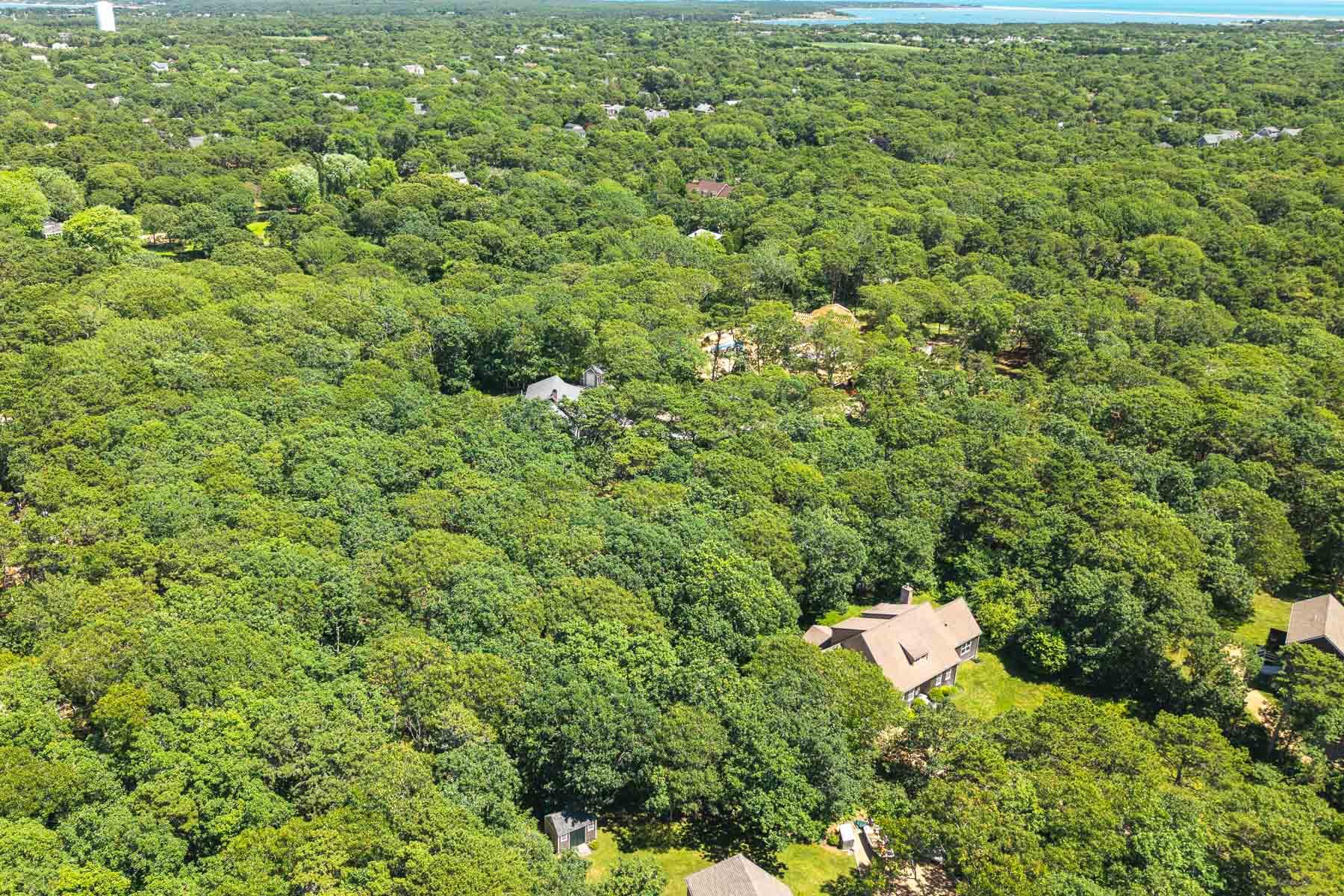 4 Wilsons Lane Edgartown MA 02539