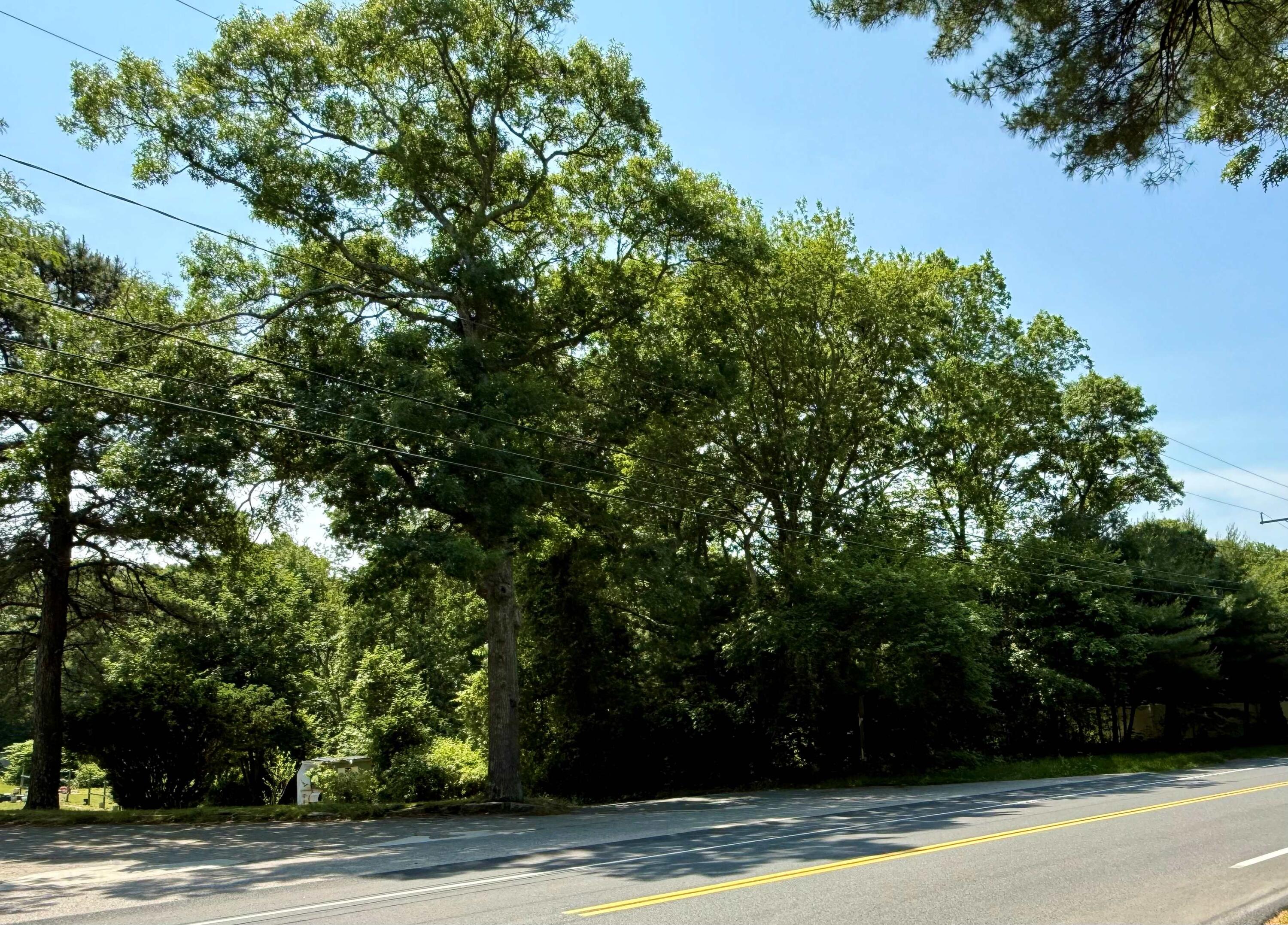 0 Sandwich Road Teaticket MA 02536