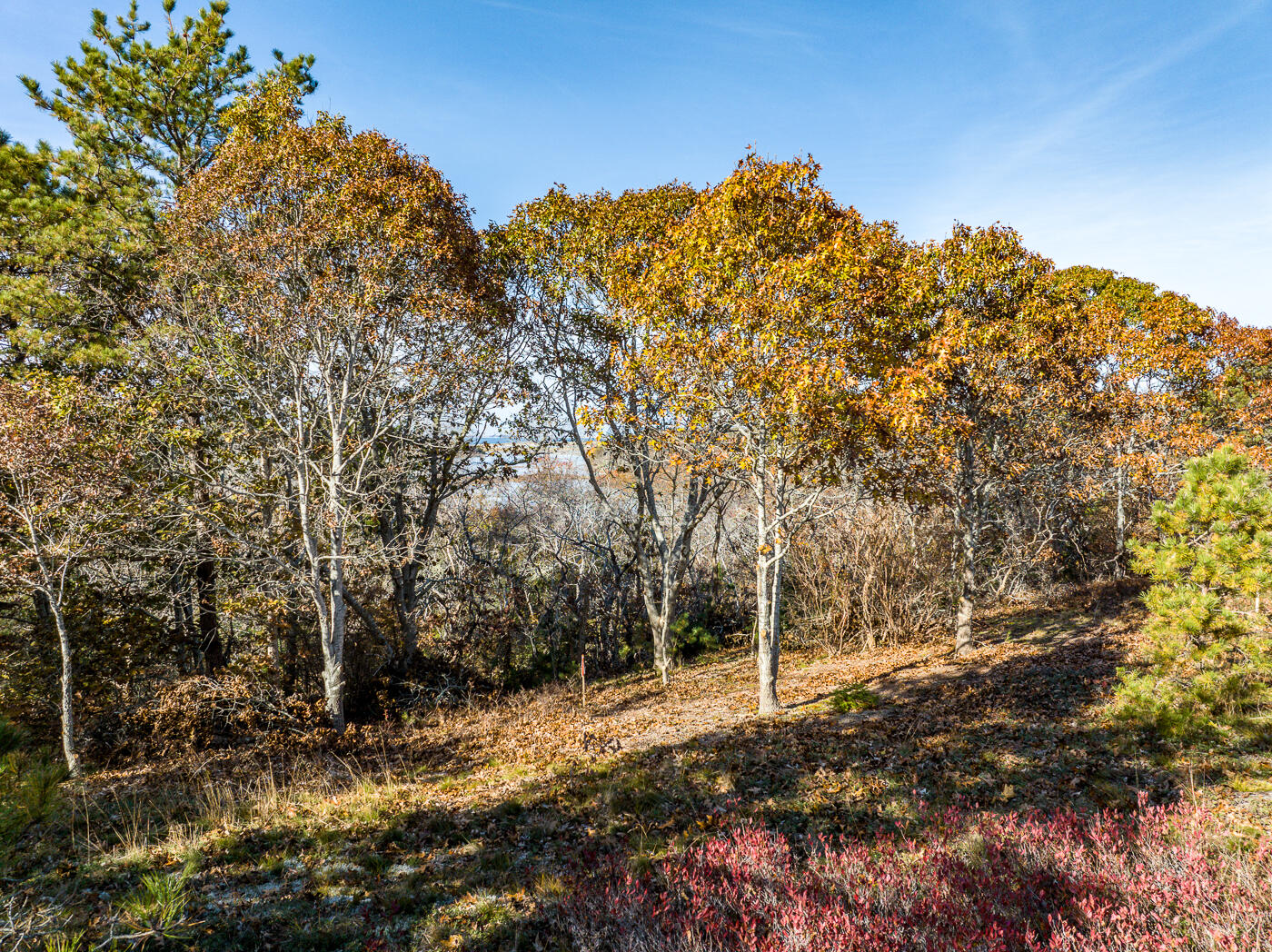 43 Old County Road Truro MA 02666