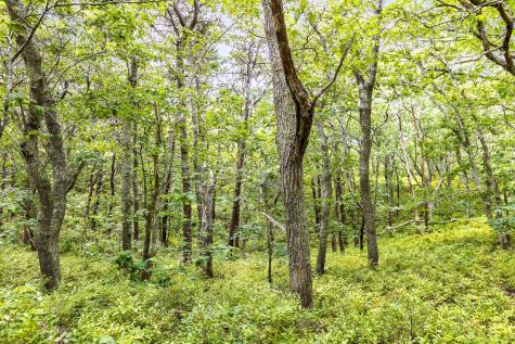 35A Higgins Hollow Road Truro MA 02652