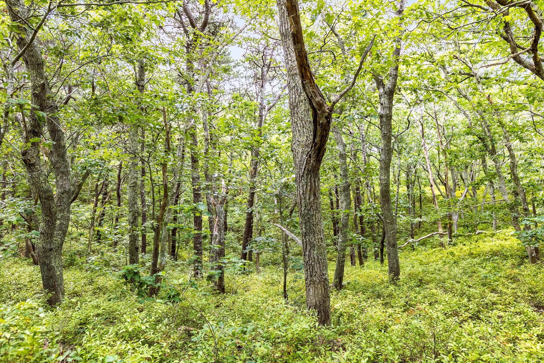 35A Higgins Hollow Road Truro MA 02652