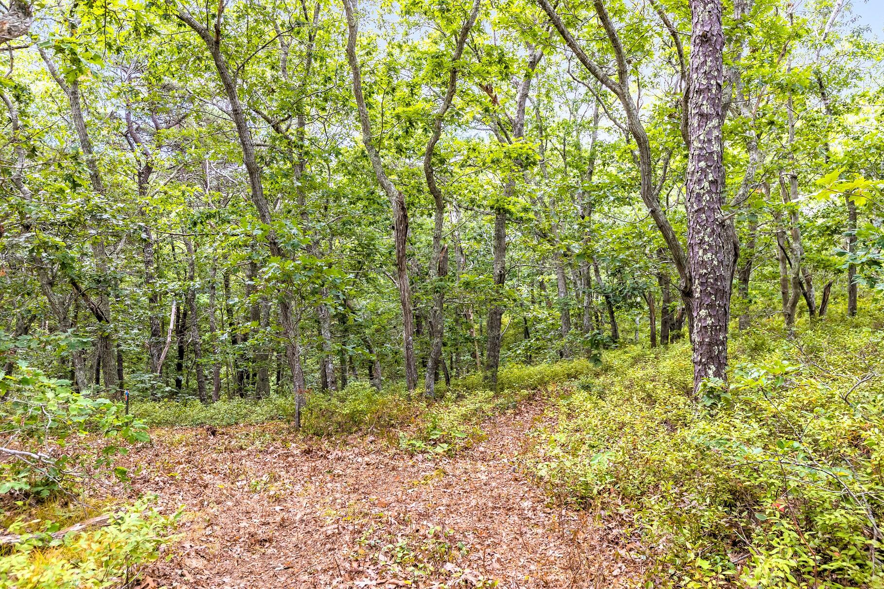 35A Higgins Hollow Road Truro MA 02652