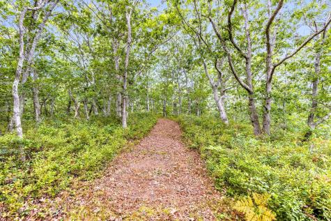 35A Higgins Hollow Road Truro MA 02652