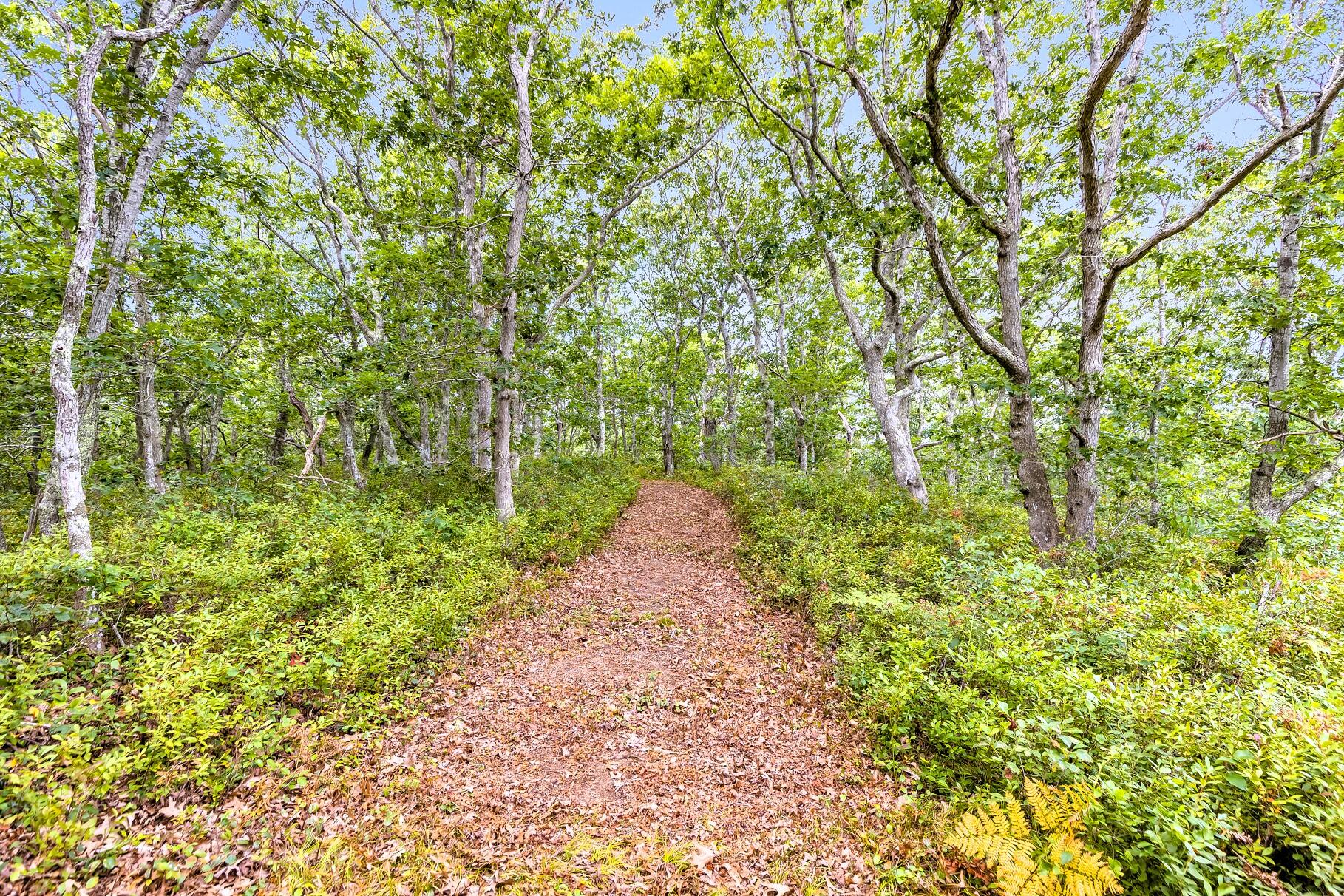35A Higgins Hollow Road Truro MA 02652