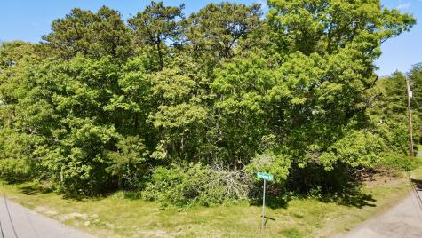 8 Pine Grove Road Brewster MA 02631