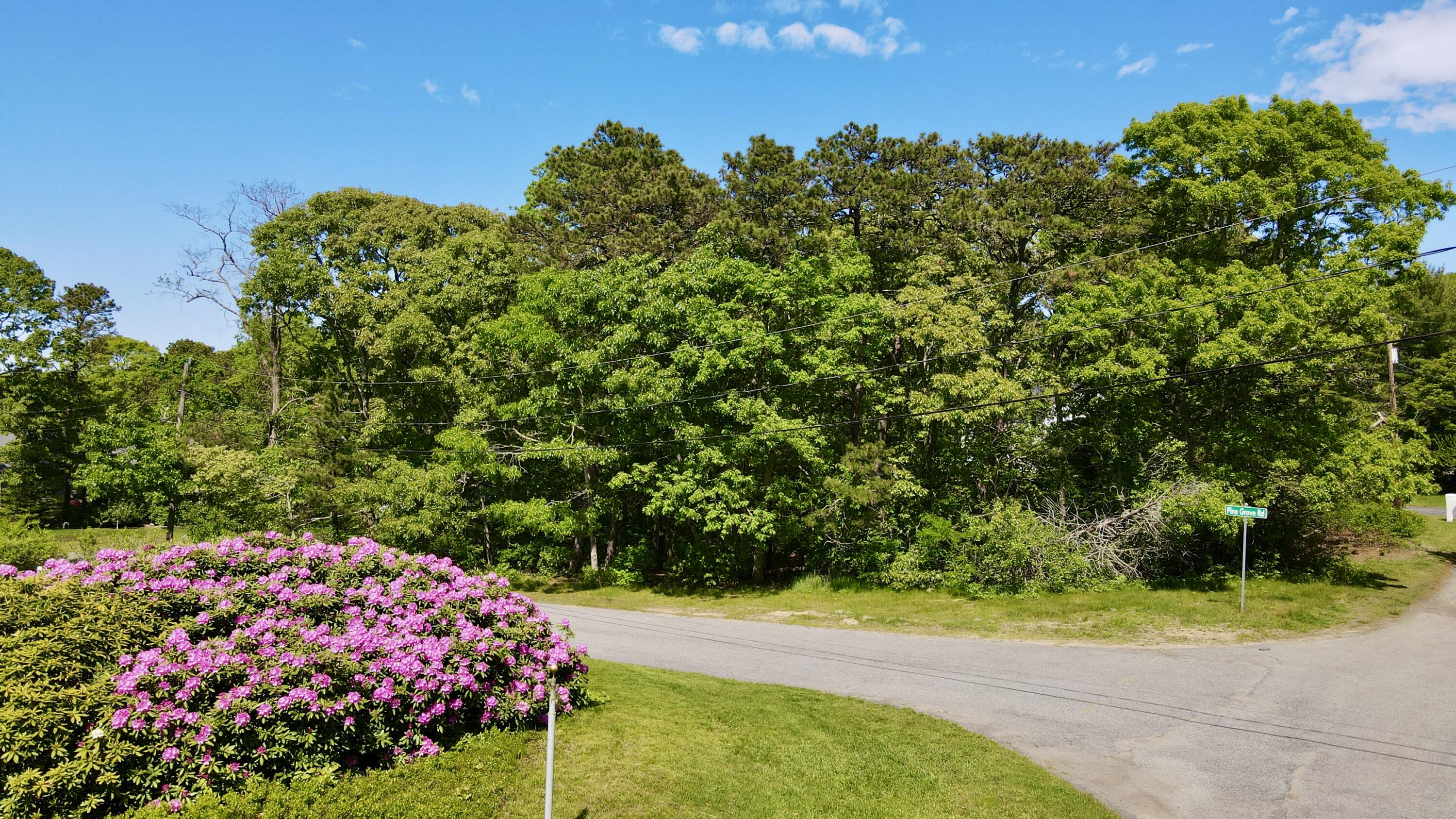 8 Pine Grove Road Brewster MA 02631