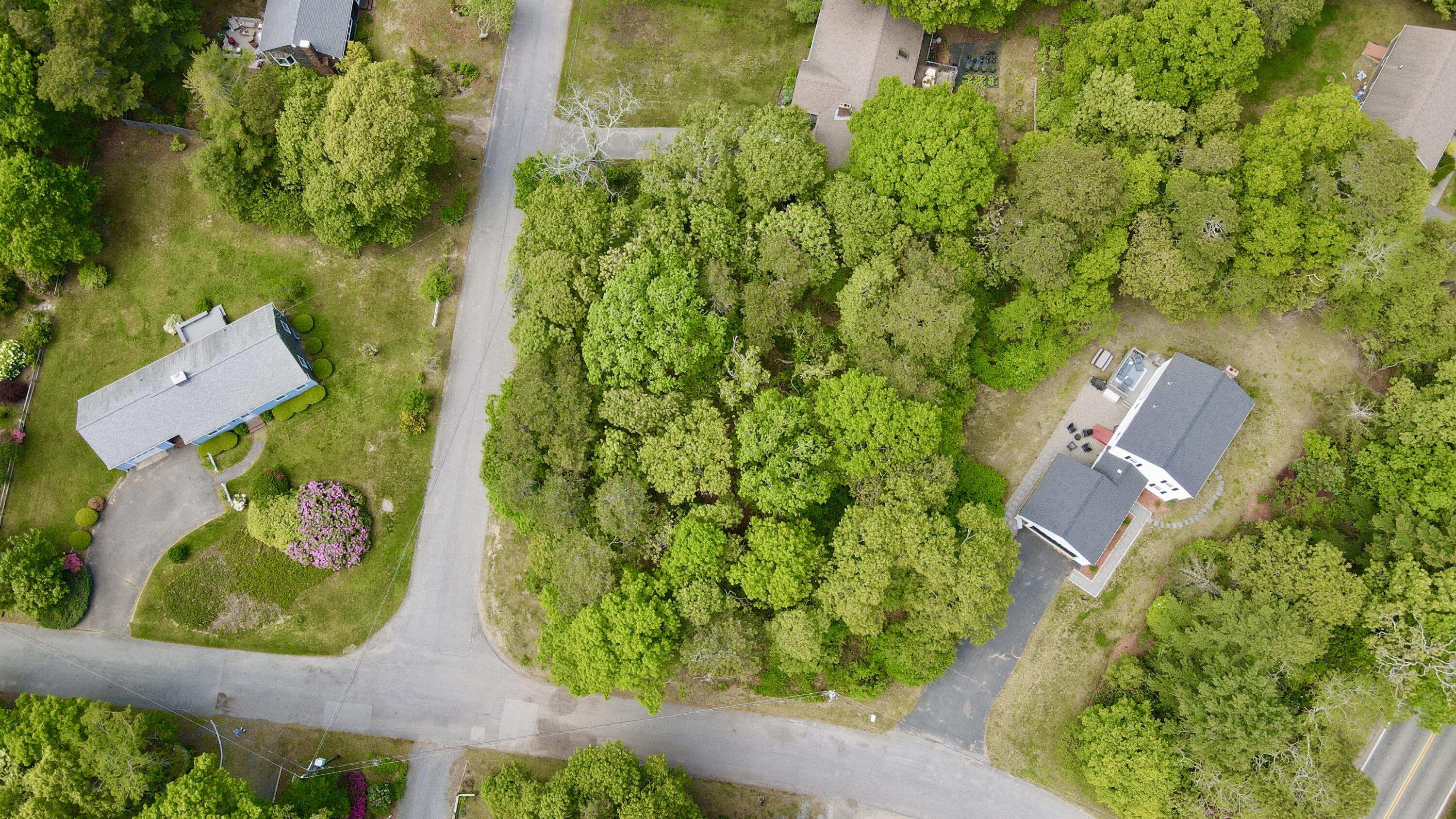 8 Pine Grove Road Brewster MA 02631