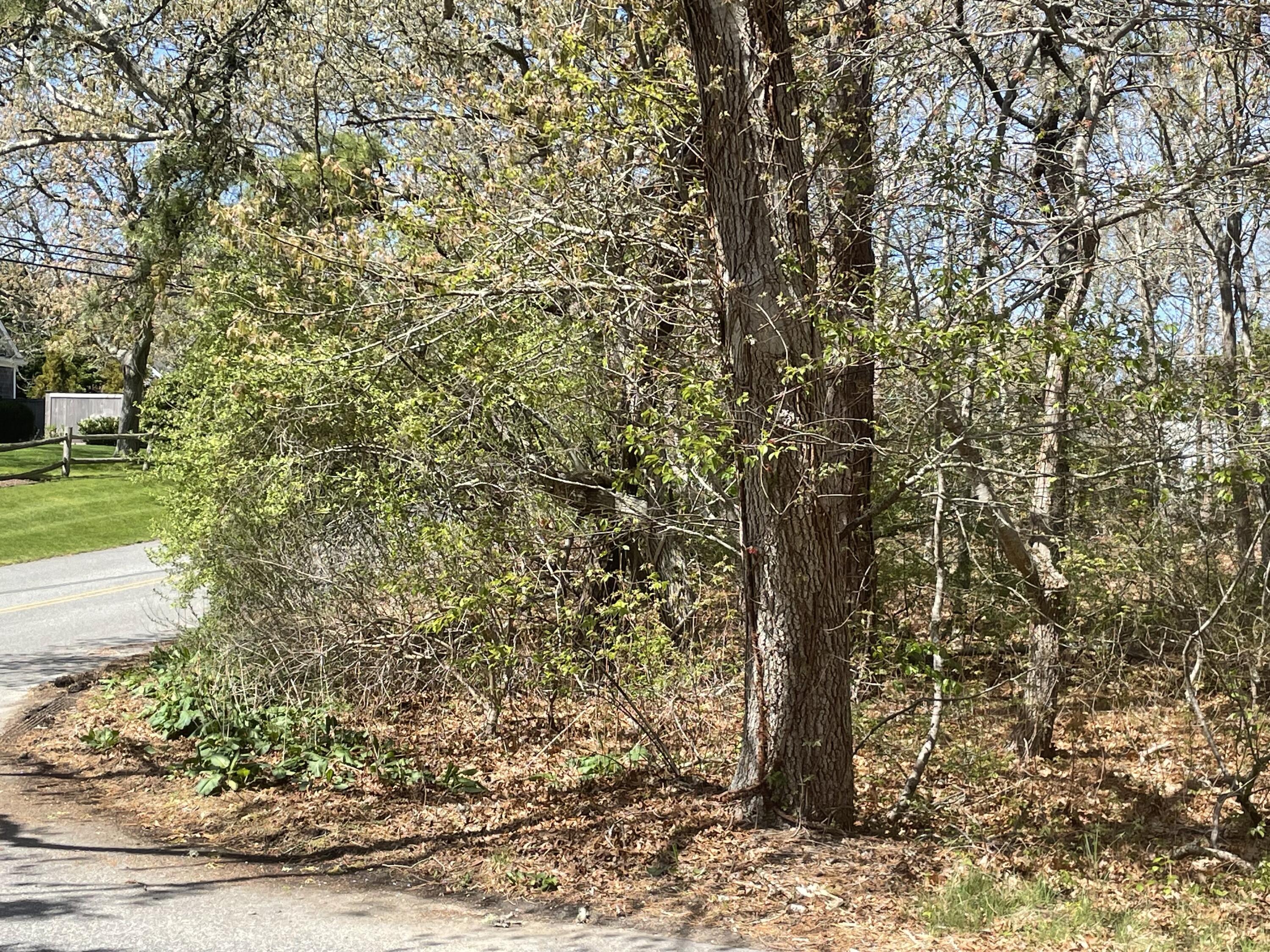 0 Woodland Way Chatham MA 02650