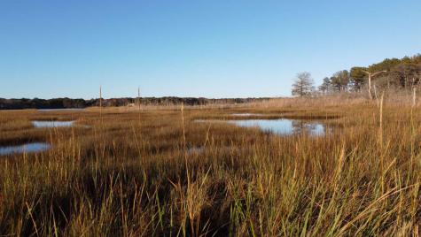 17 Angus Avenue Yarmouth MA 02664