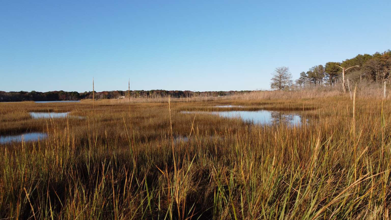 17 Angus Avenue Yarmouth MA 02664