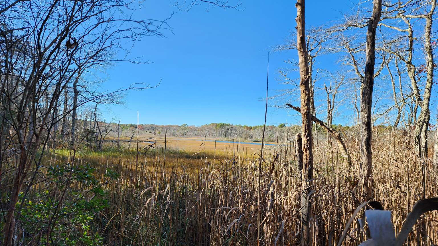 17 Angus Avenue Yarmouth MA 02664