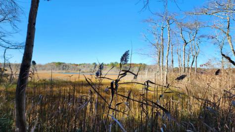 17 Angus Avenue Yarmouth MA 02664