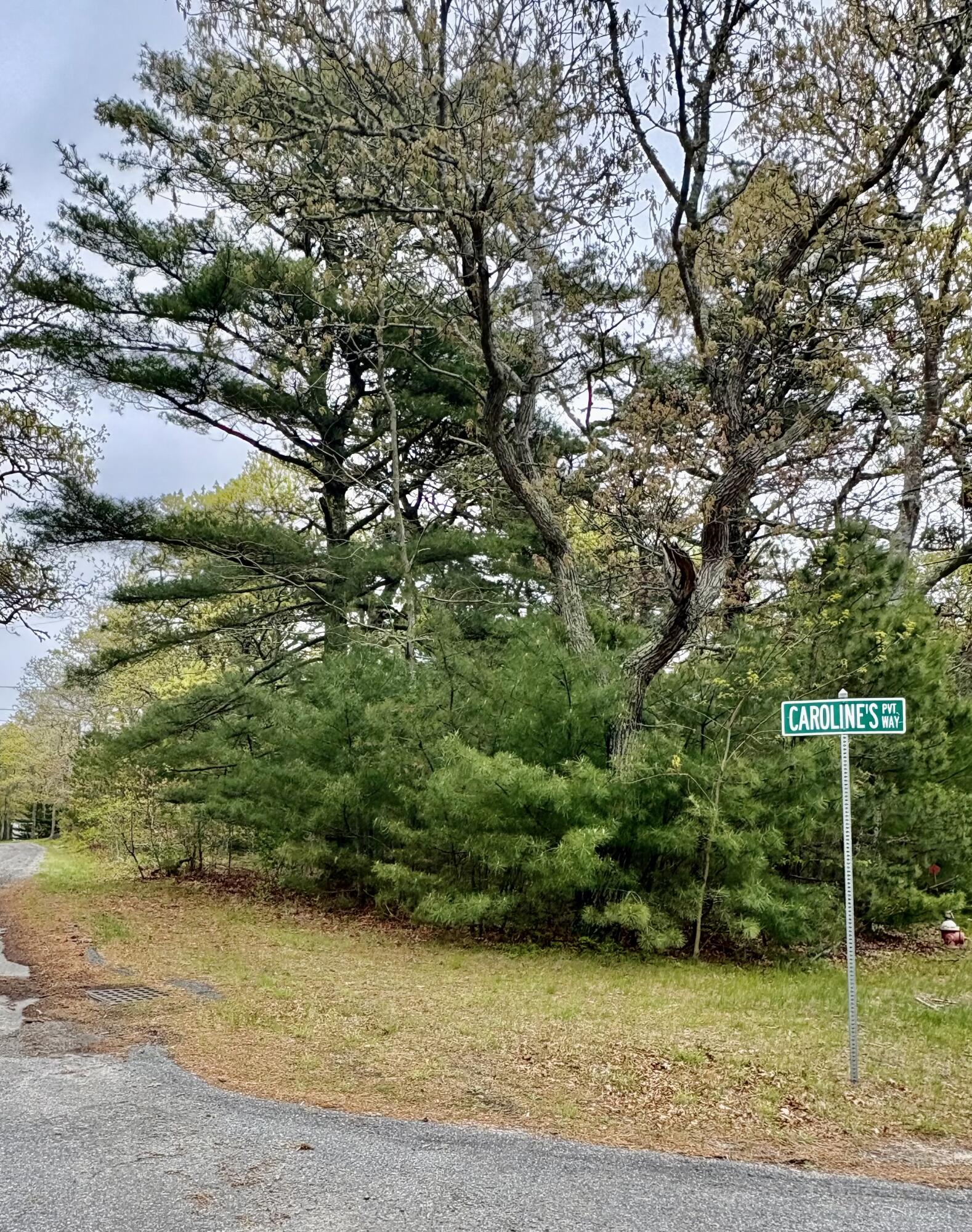 2 Carolines Way Orleans MA 02653