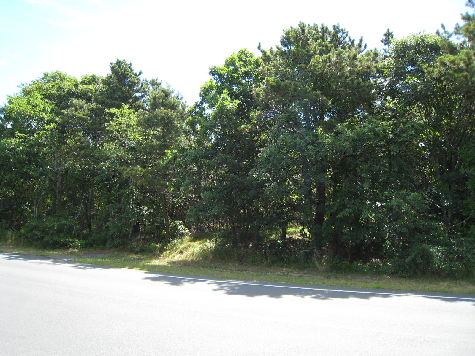 2 Dorset Drive Harwich MA 02645