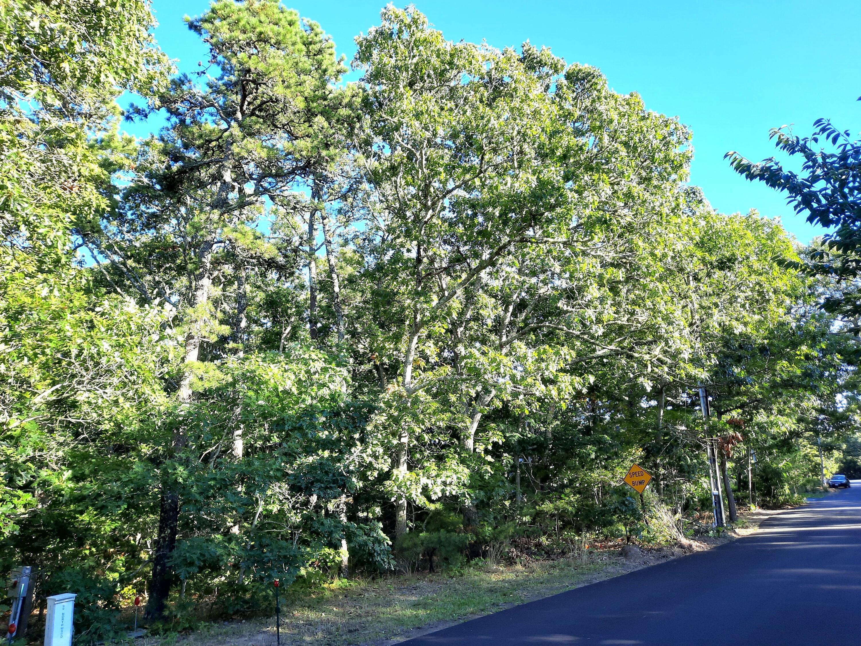 50 Northwood Road Eastham MA 02642