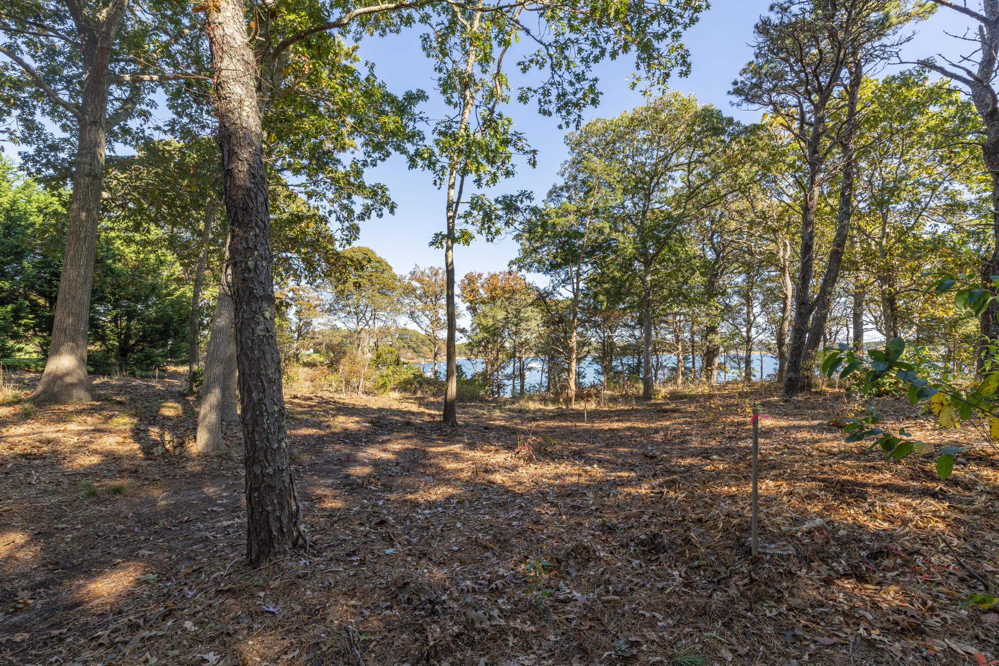 0 Crows Pond Road Chatham MA 02633