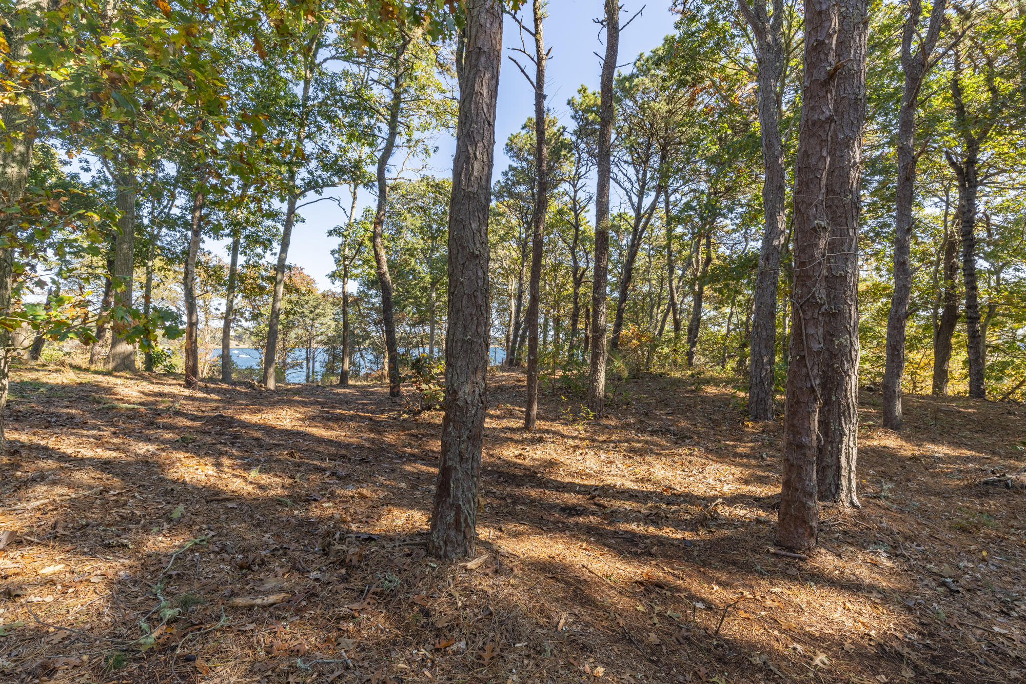 0 Crows Pond Road Chatham MA 02633