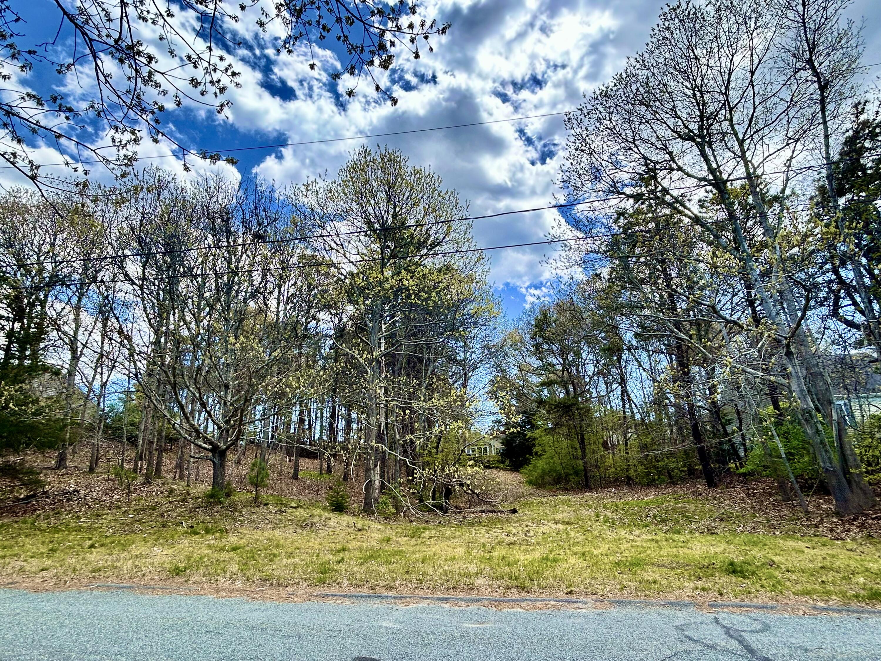 51 Forest Pines Drive Dennis MA 02641