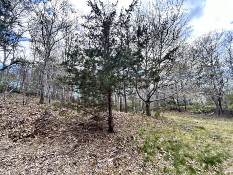 51 Forest Pines Drive Dennis MA 02641