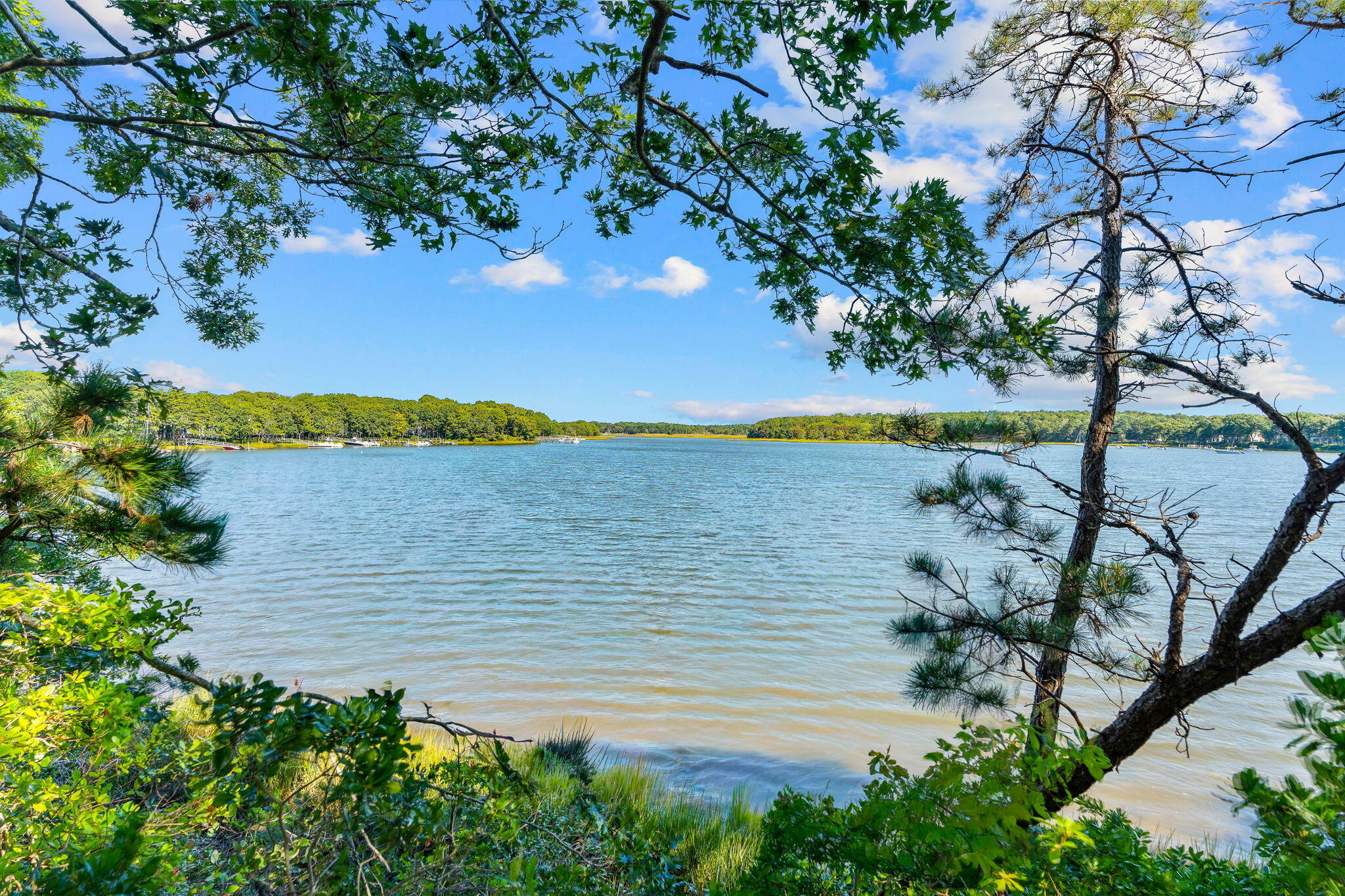 71 Tide Run Mashpee MA 02649