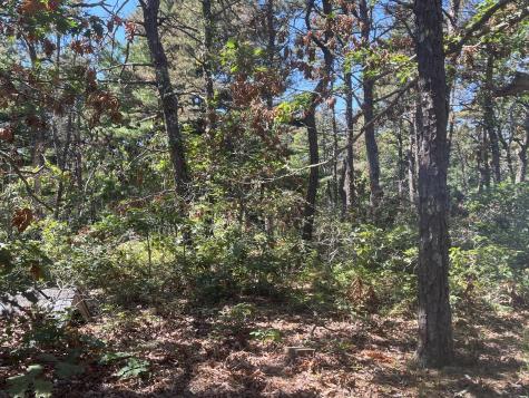 10 Shadbush Circle Mashpee MA 02649