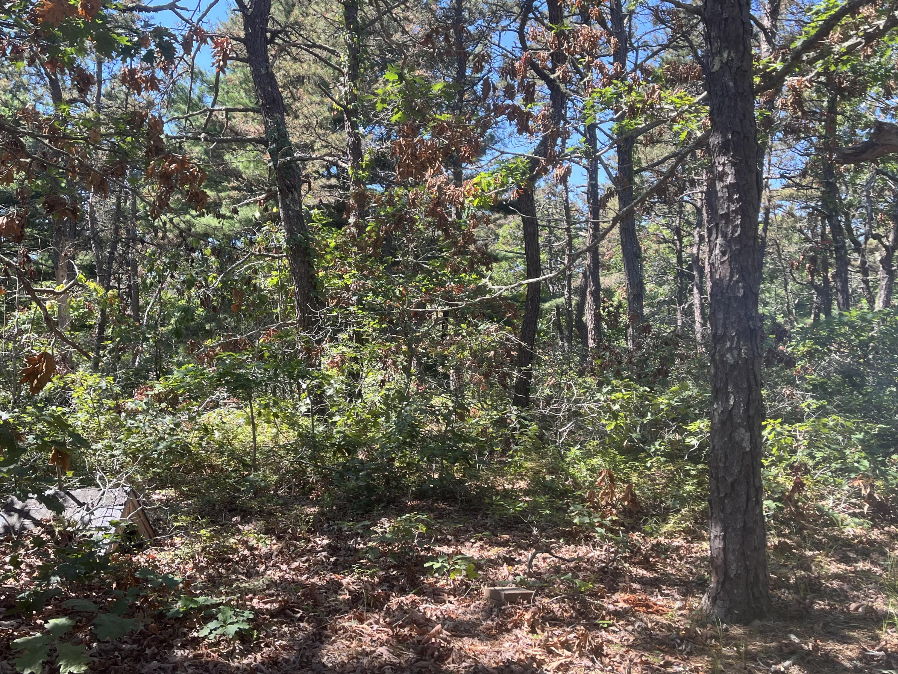 10 Shadbush Circle Mashpee MA 02649