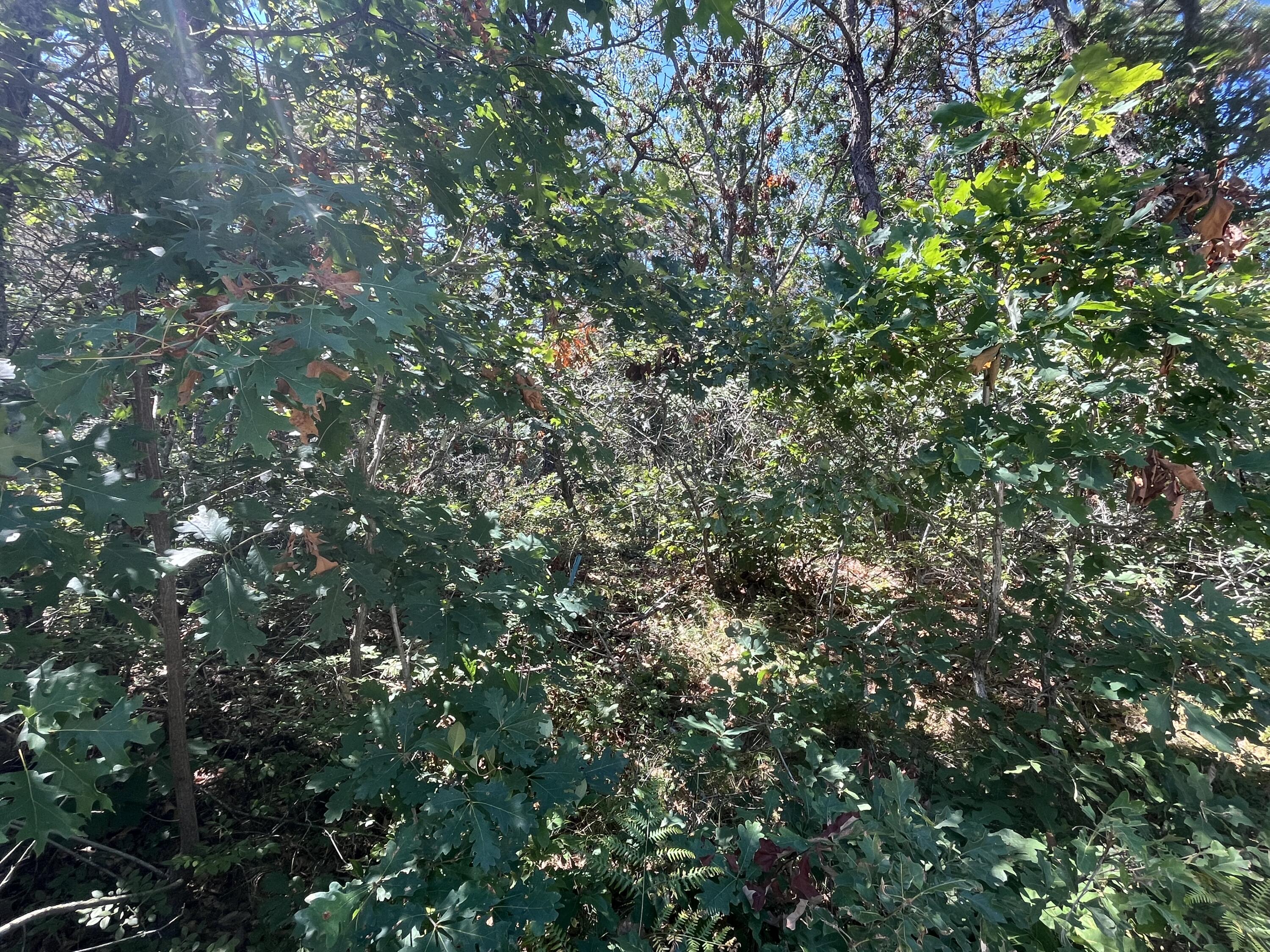 10 Shadbush Circle Mashpee MA 02649