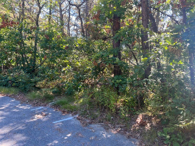 10 Shadbush Circle Mashpee MA 02649