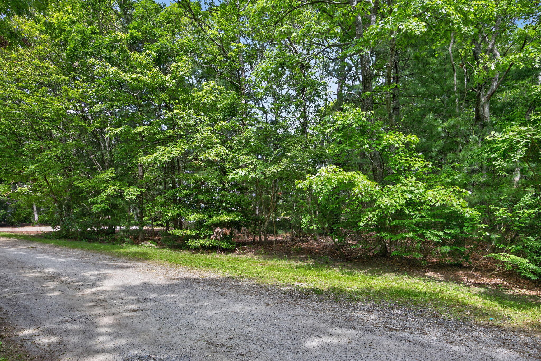 20 Hirsch Road Sandwich MA 02644