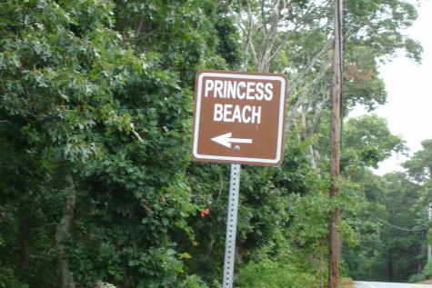 6 Thomas Court Dennis MA 02638