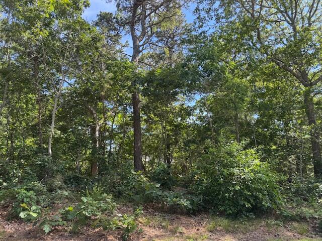 35 Sterling Road Harwich MA 02645
