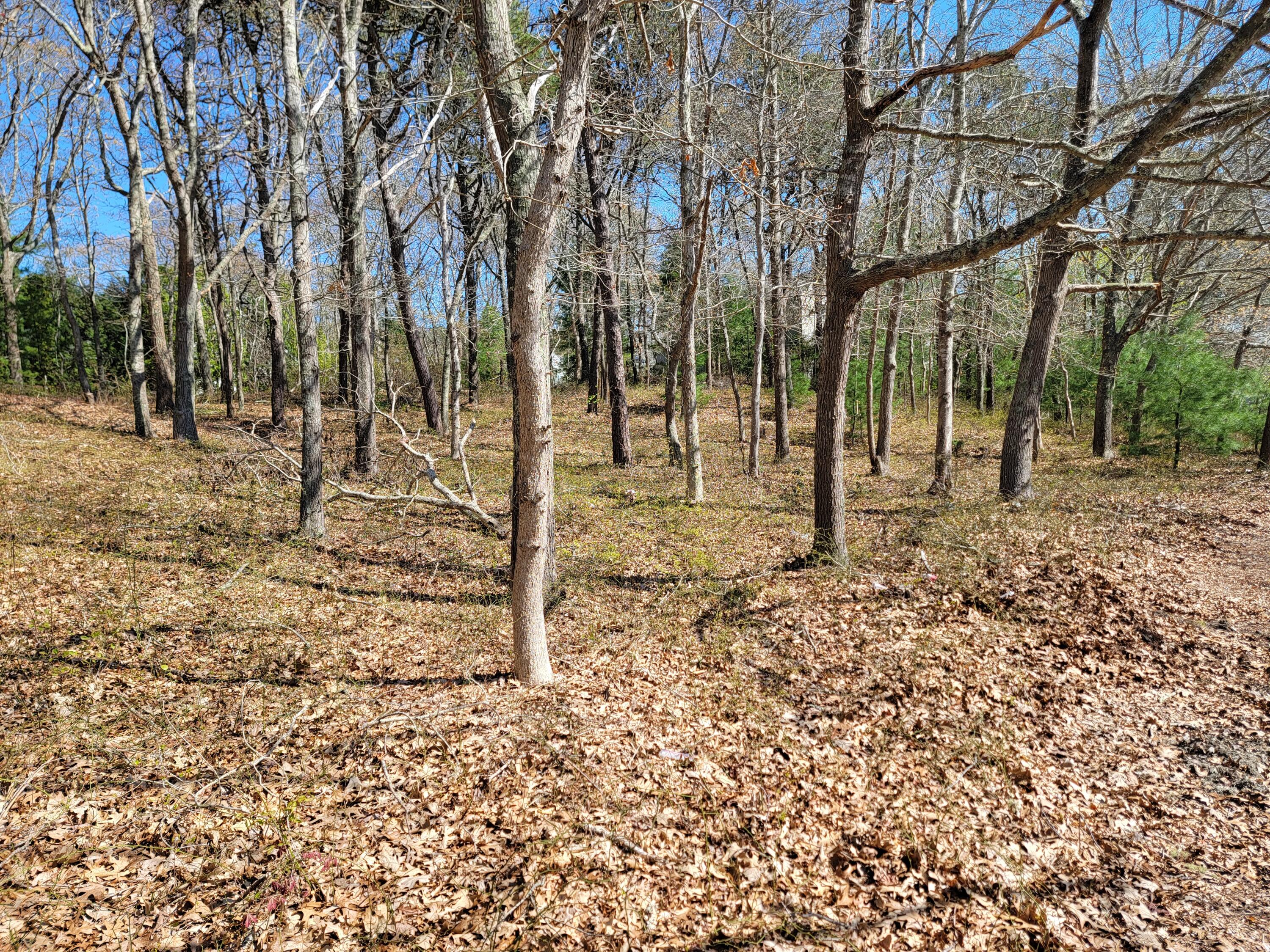 0 North Falmouth Highway Falmouth MA 02556