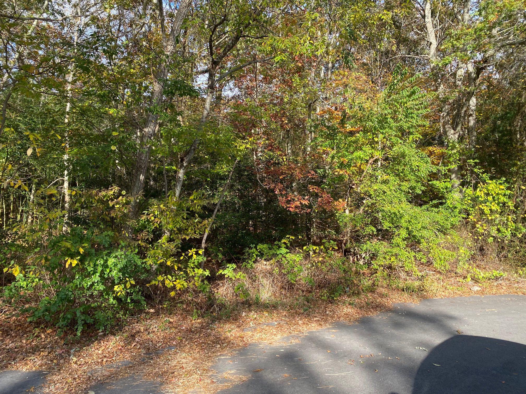 93 Deerfield Road MA 02649