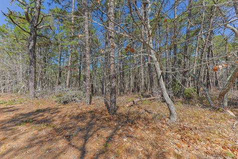 175 Delphi Path Wellfleet MA 02667