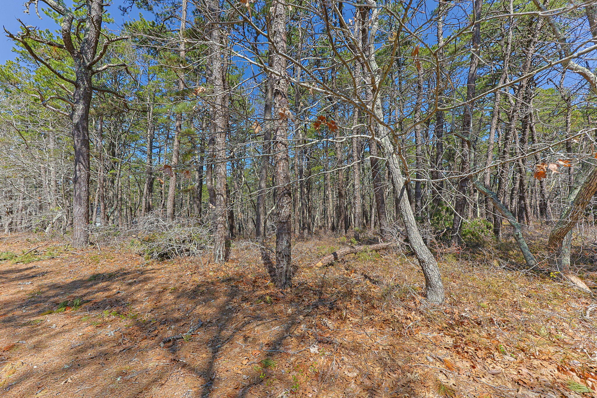 175 Delphi Path Wellfleet MA 02667