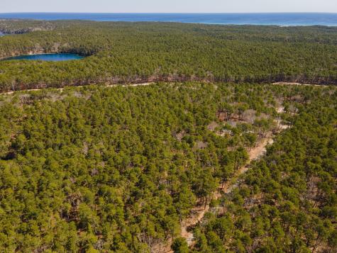 175 Delphi Path Wellfleet MA 02667