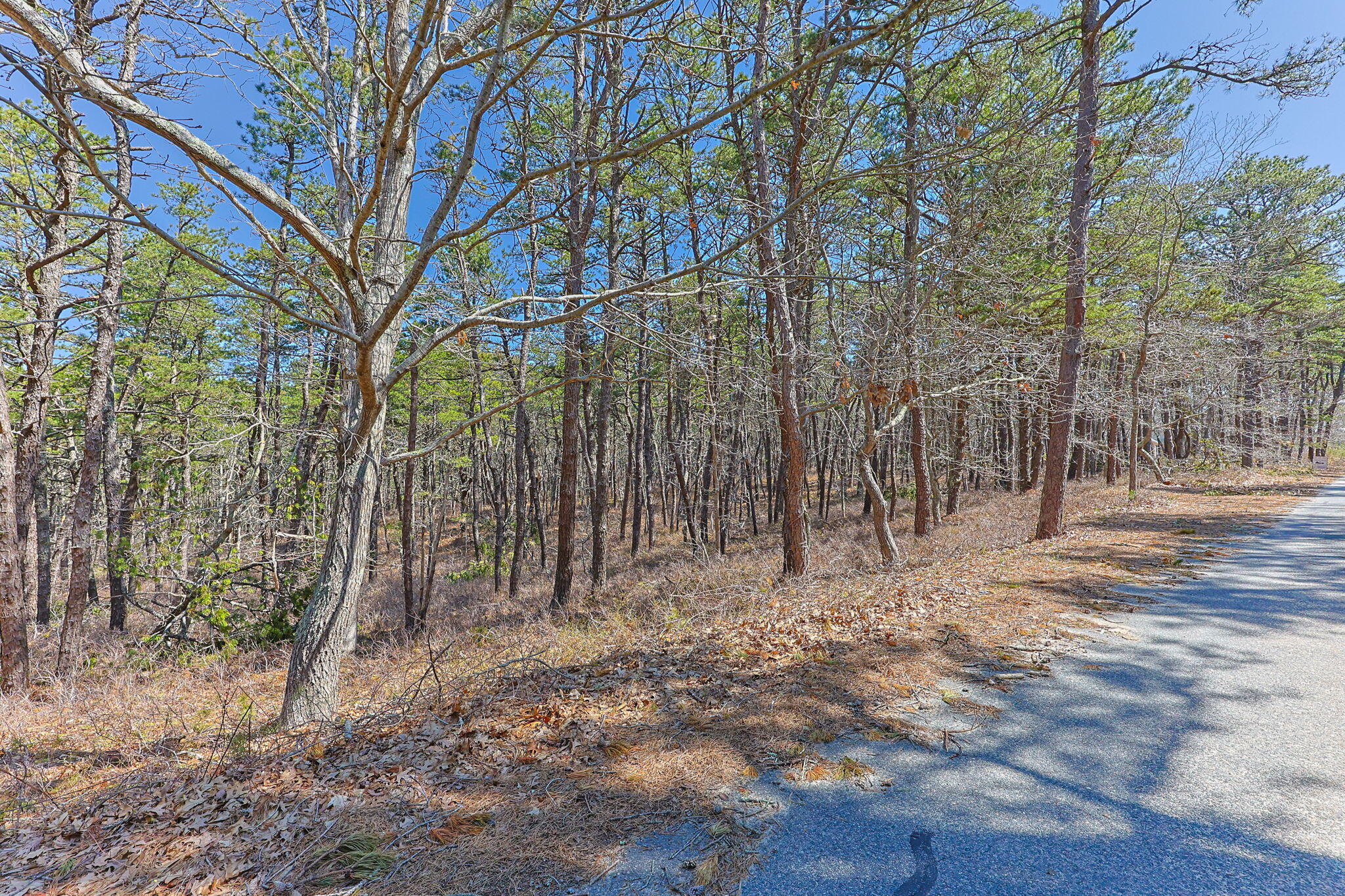 175 Delphi Path Wellfleet MA 02667